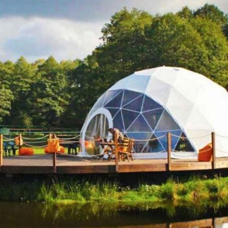Forest Glamping Μπρασόβ Εξωτερικό φωτογραφία
