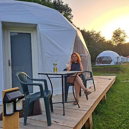 Forest Glamping Μπρασόβ Εξωτερικό φωτογραφία