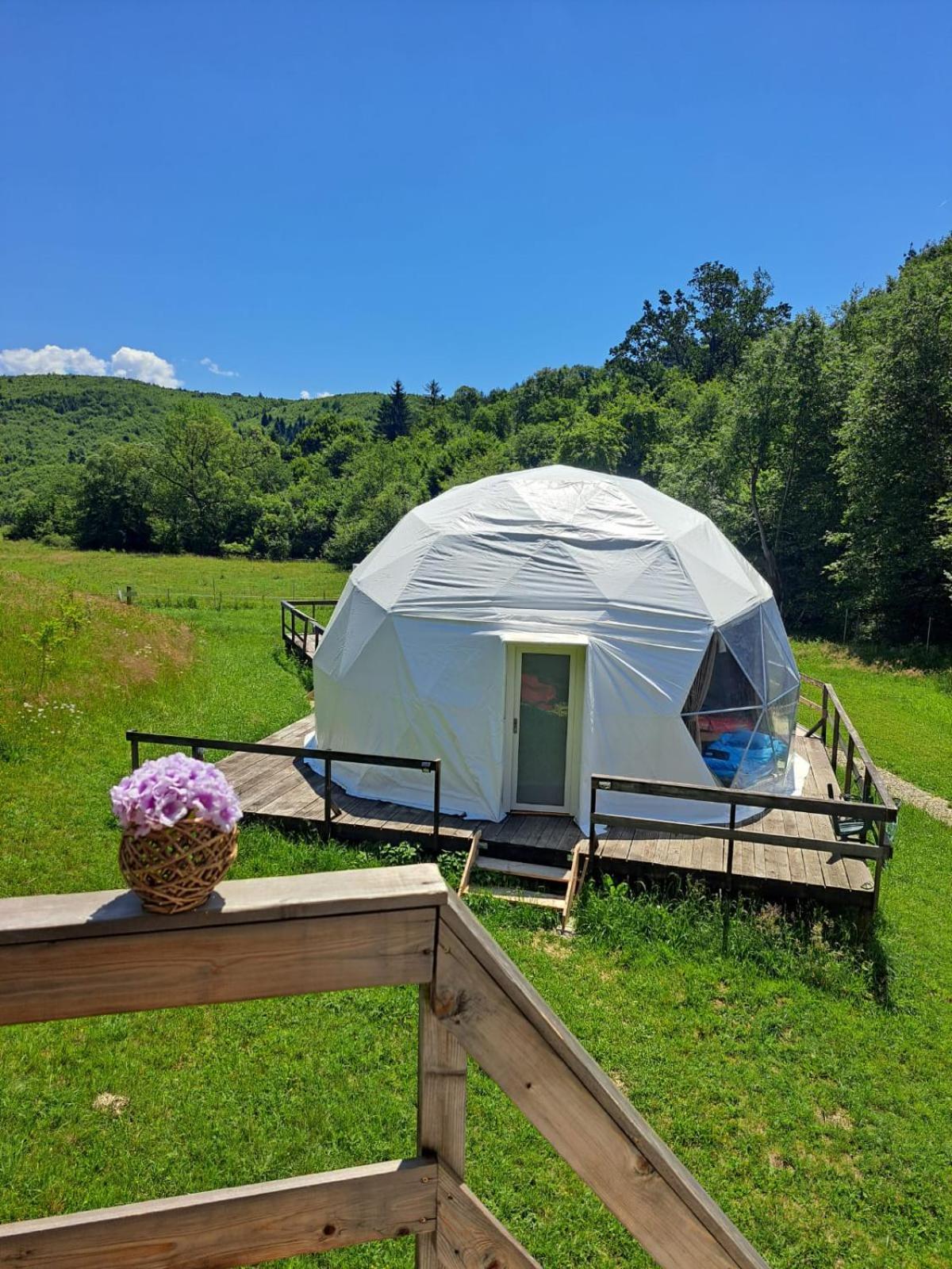Forest Glamping Μπρασόβ Εξωτερικό φωτογραφία