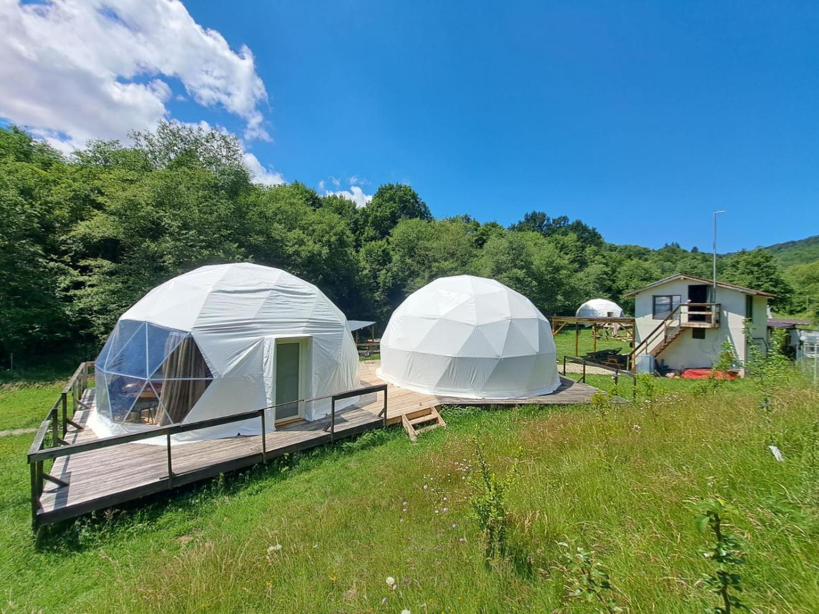 Forest Glamping Μπρασόβ Εξωτερικό φωτογραφία