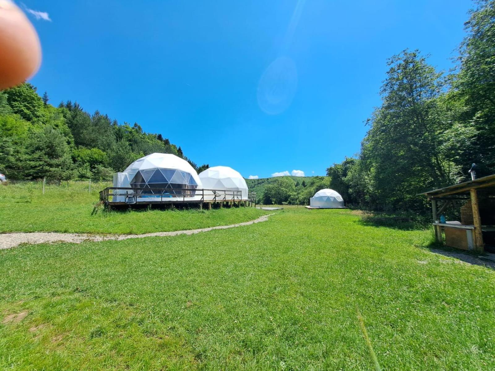 Forest Glamping Μπρασόβ Εξωτερικό φωτογραφία