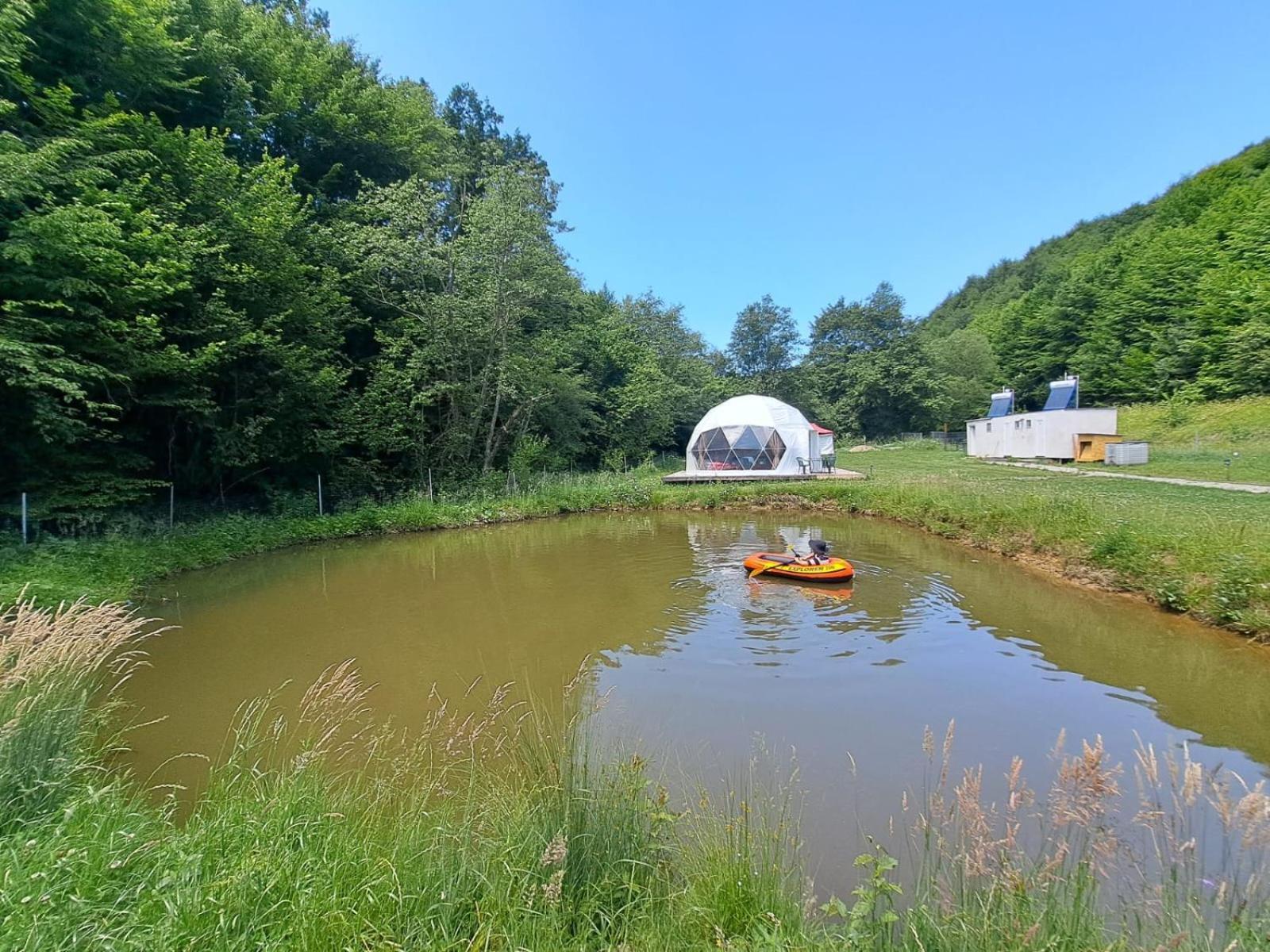 Forest Glamping Μπρασόβ Εξωτερικό φωτογραφία