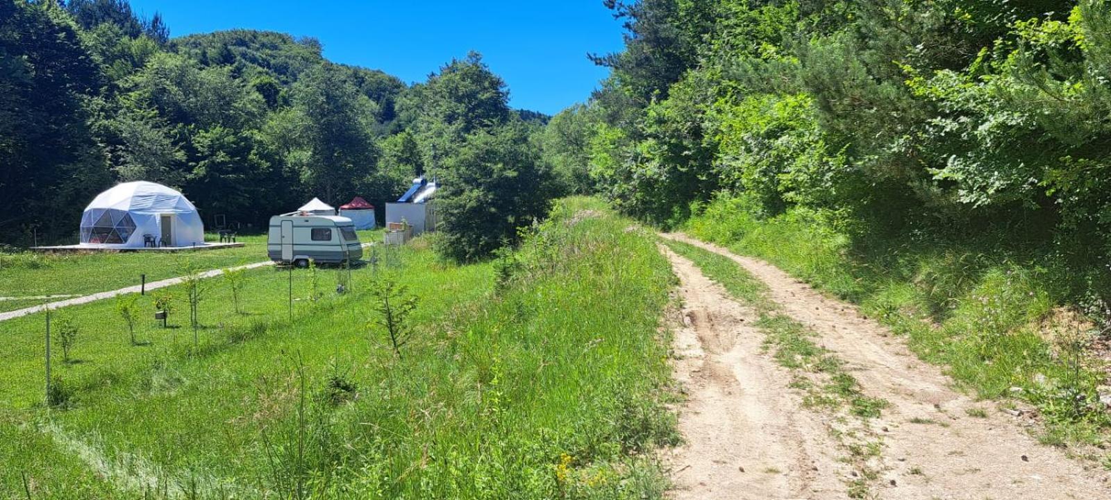 Forest Glamping Μπρασόβ Εξωτερικό φωτογραφία