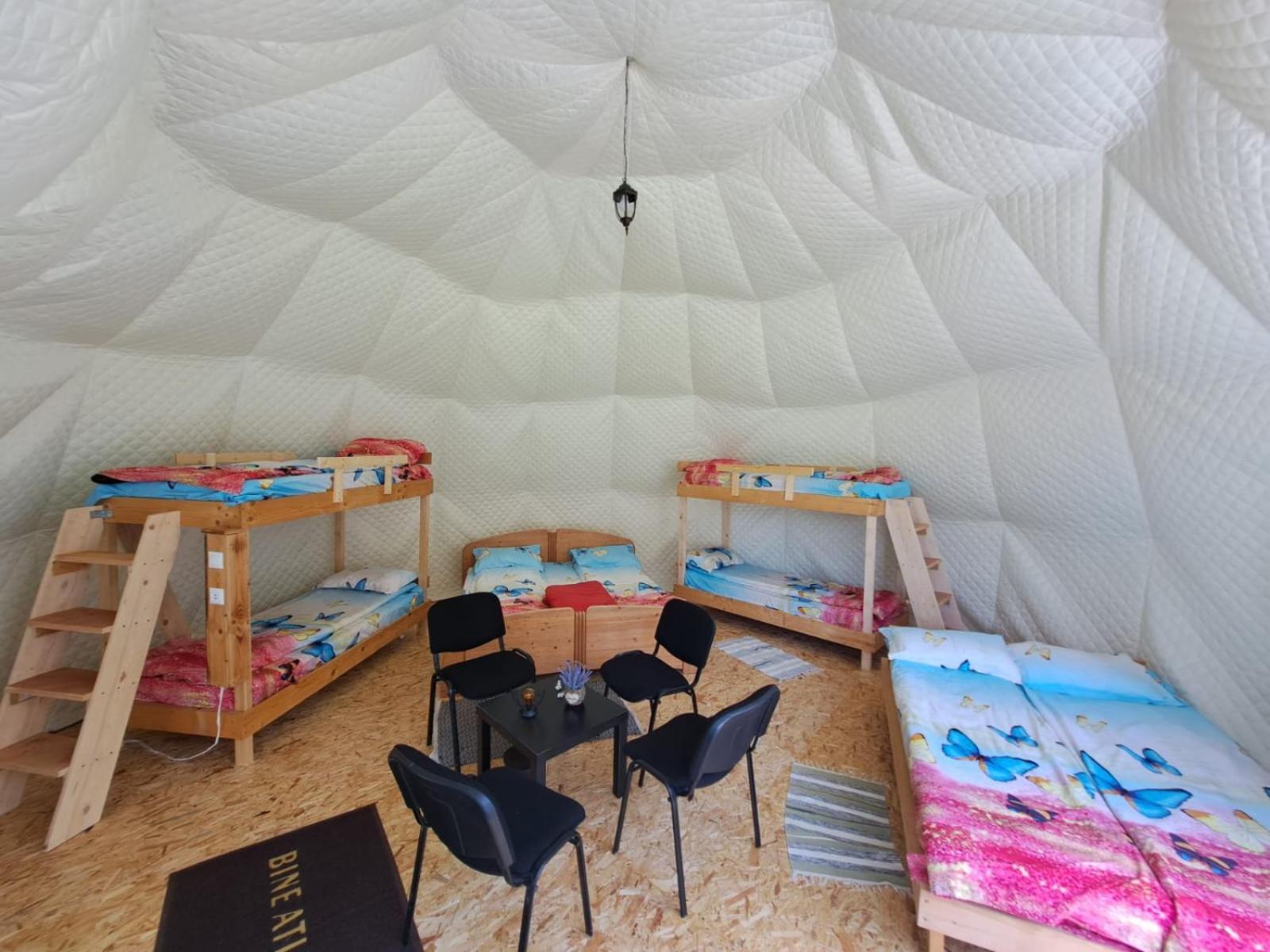 Forest Glamping Μπρασόβ Εξωτερικό φωτογραφία