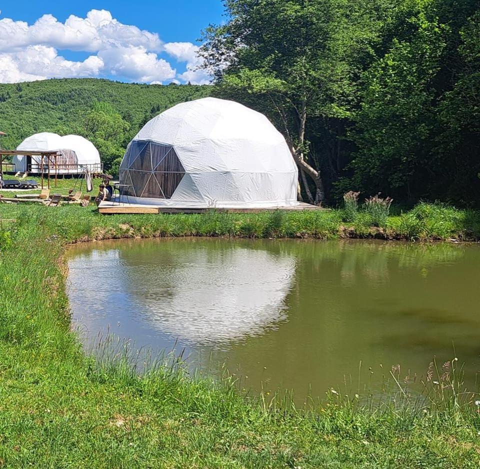 Forest Glamping Μπρασόβ Εξωτερικό φωτογραφία