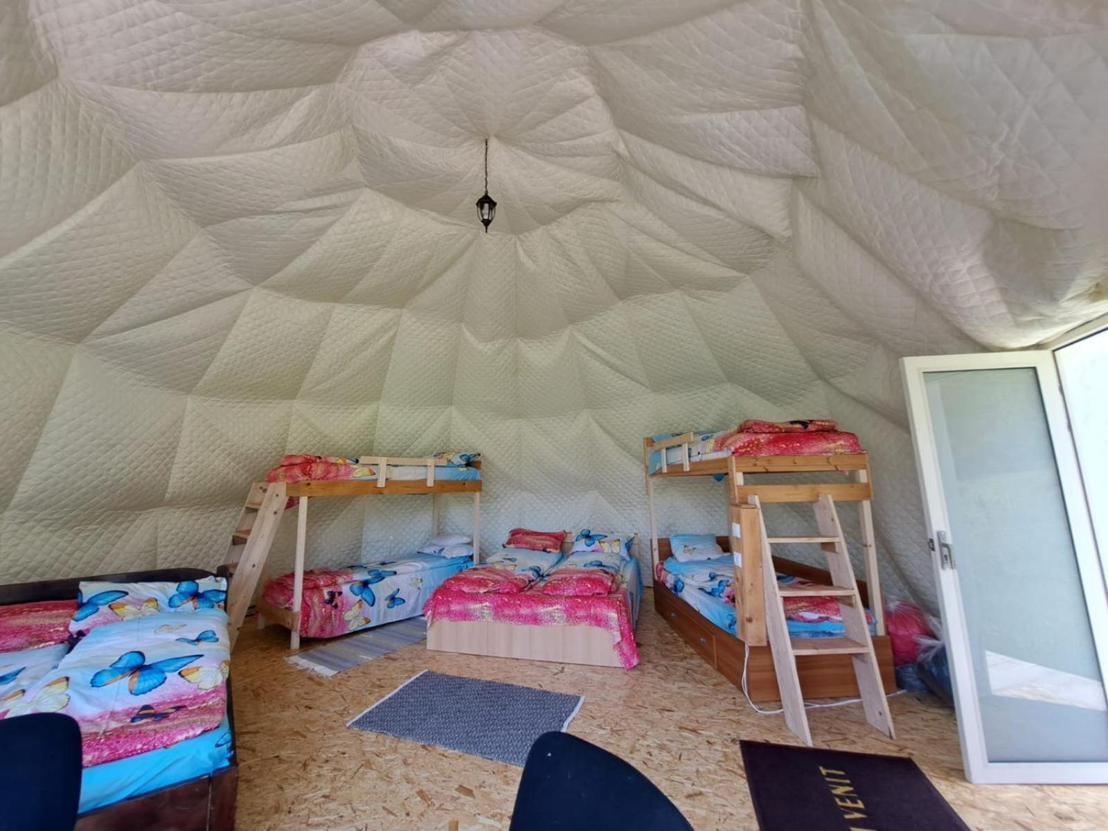 Forest Glamping Μπρασόβ Εξωτερικό φωτογραφία