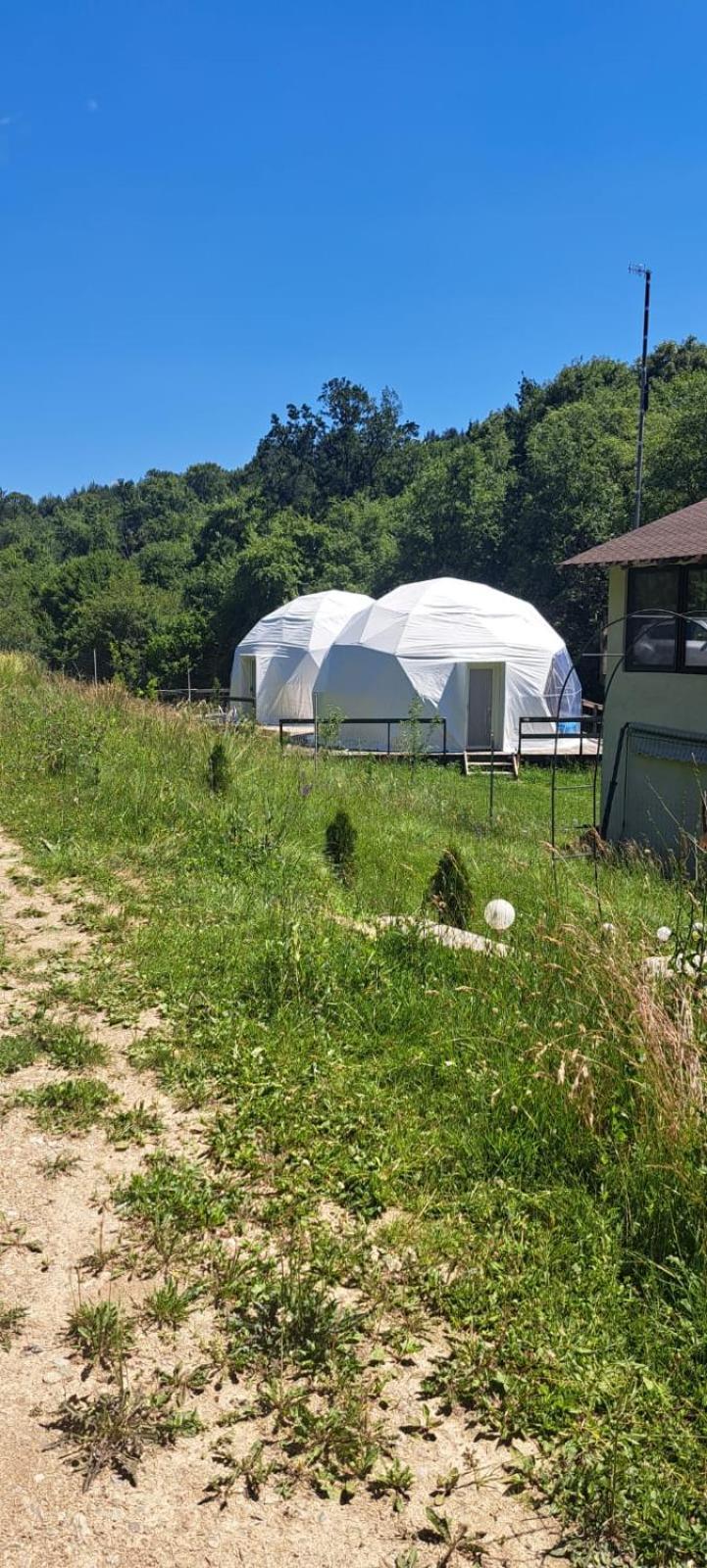 Forest Glamping Μπρασόβ Εξωτερικό φωτογραφία