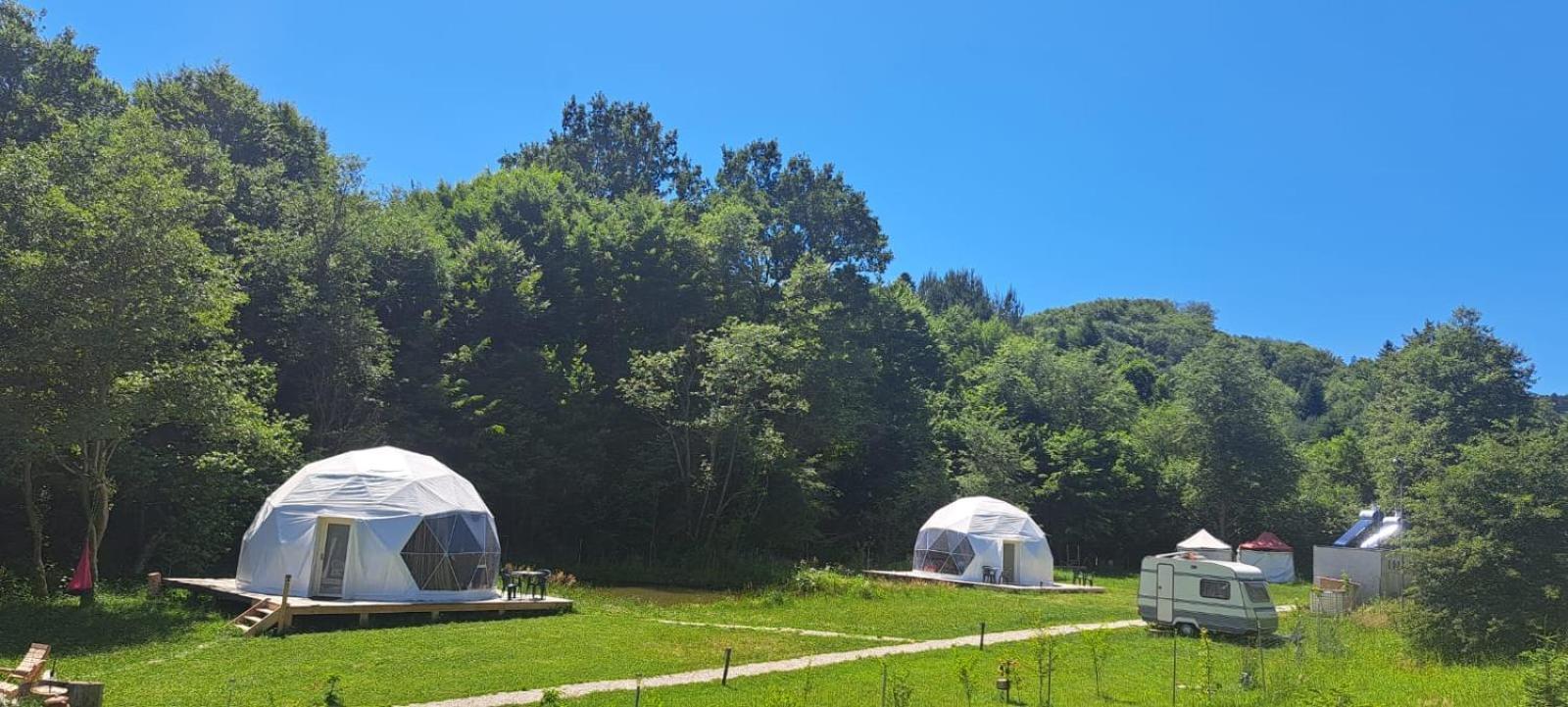 Forest Glamping Μπρασόβ Εξωτερικό φωτογραφία