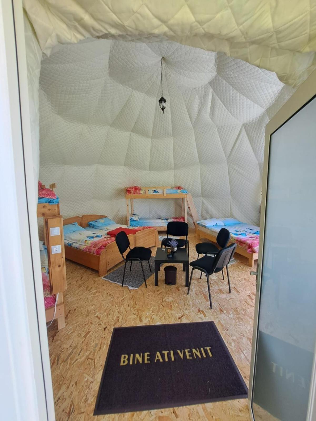 Forest Glamping Μπρασόβ Εξωτερικό φωτογραφία