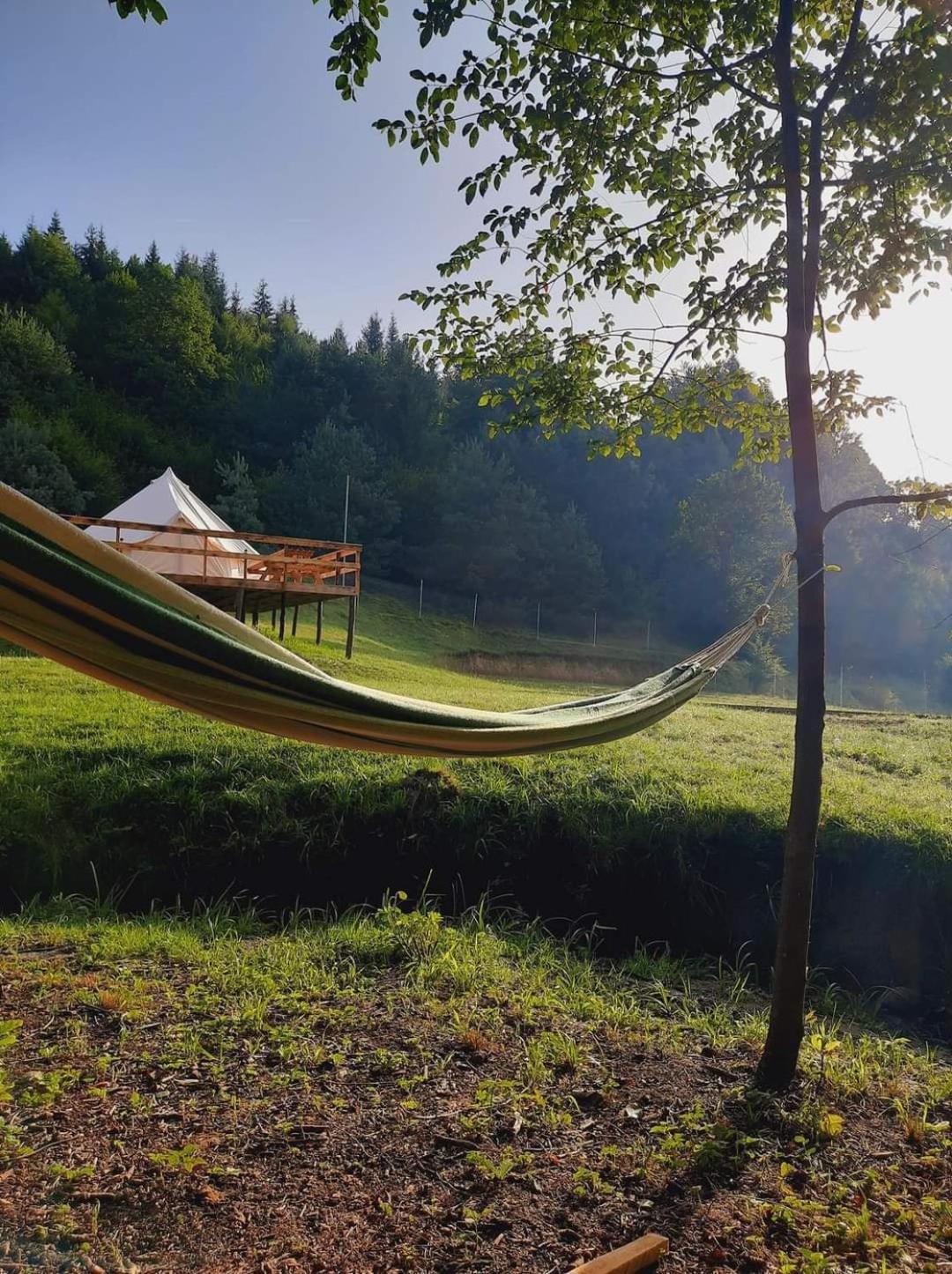 Forest Glamping Μπρασόβ Εξωτερικό φωτογραφία