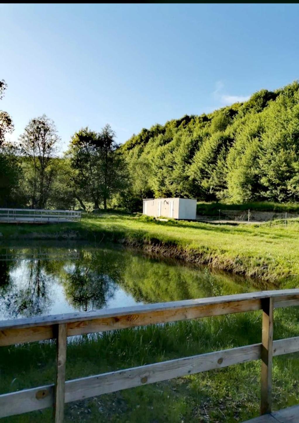 Forest Glamping Μπρασόβ Εξωτερικό φωτογραφία