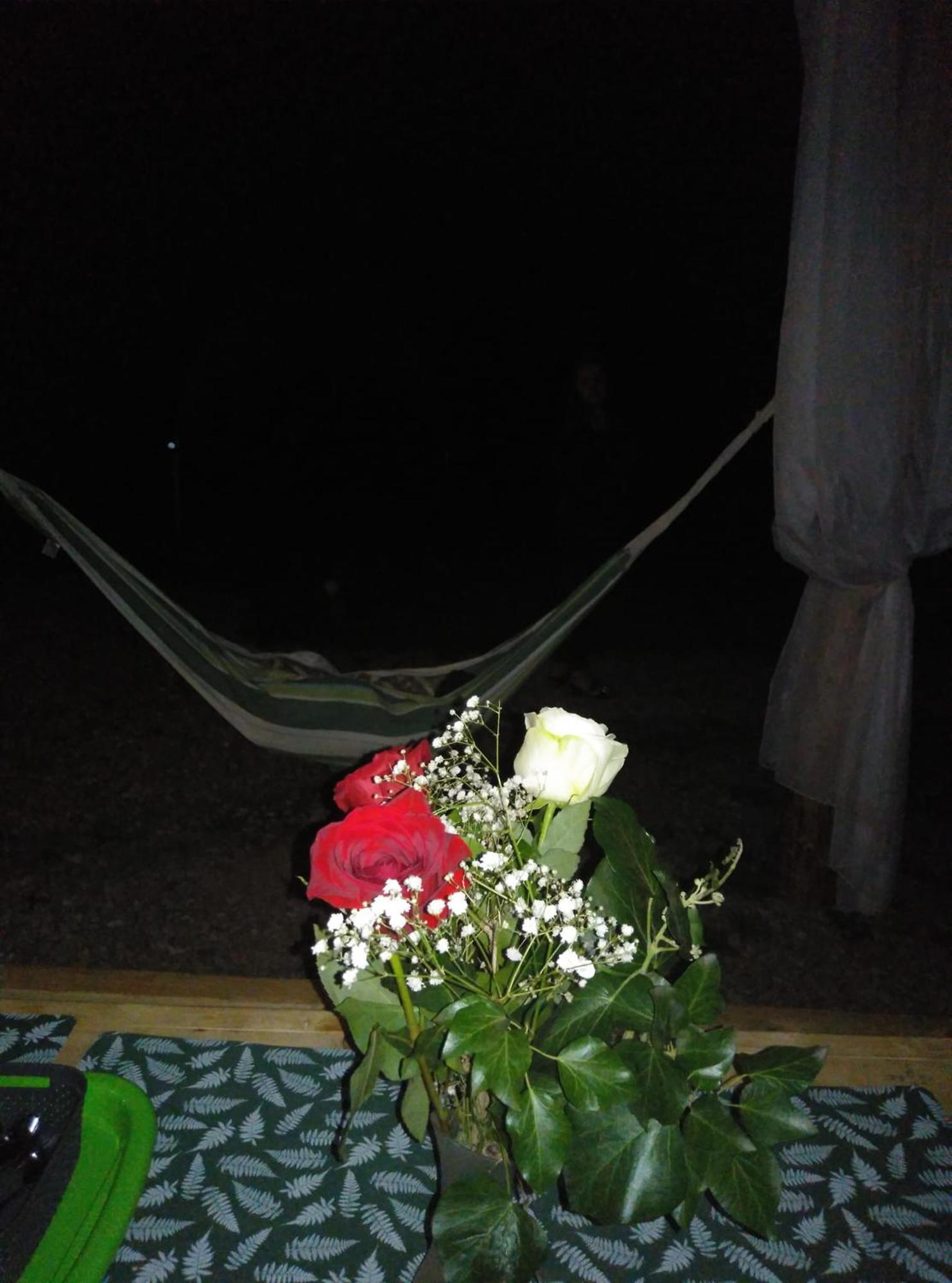 Forest Glamping Μπρασόβ Εξωτερικό φωτογραφία