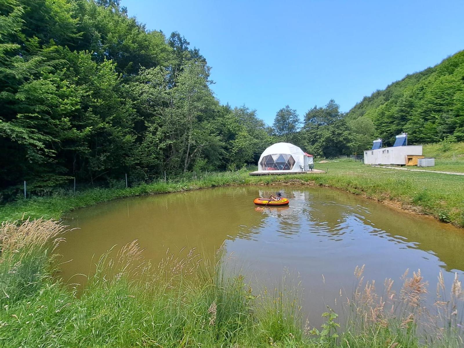 Forest Glamping Μπρασόβ Εξωτερικό φωτογραφία