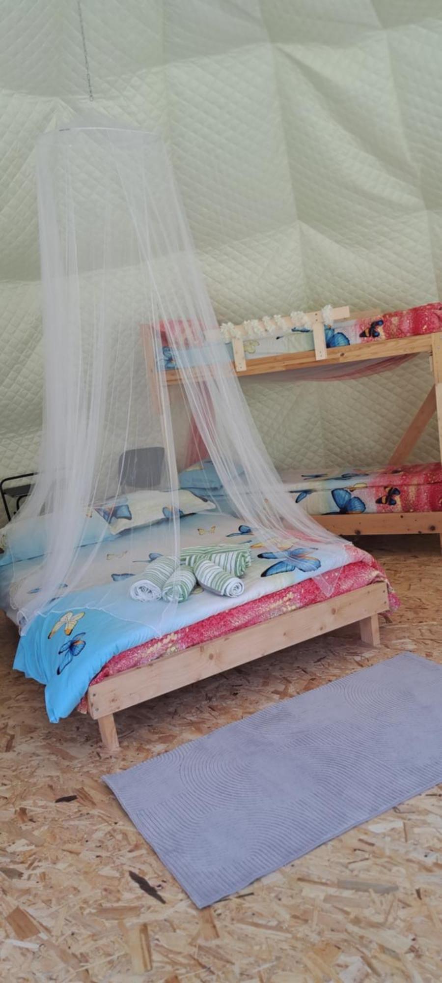 Forest Glamping Μπρασόβ Εξωτερικό φωτογραφία