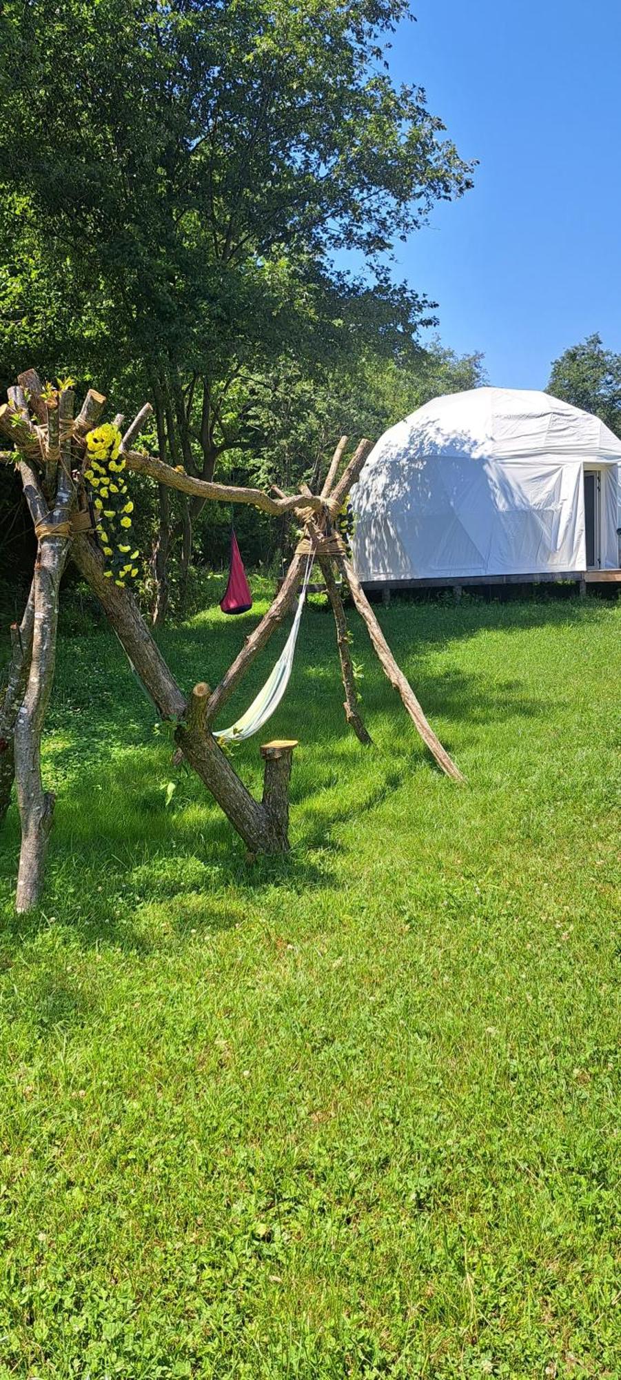 Forest Glamping Μπρασόβ Εξωτερικό φωτογραφία