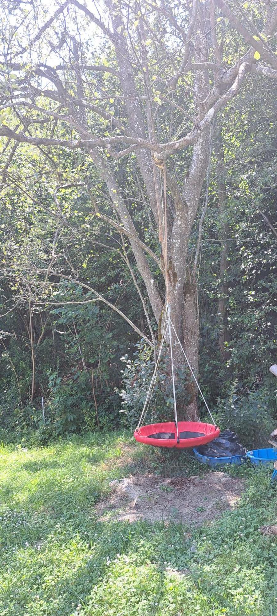 Forest Glamping Μπρασόβ Εξωτερικό φωτογραφία