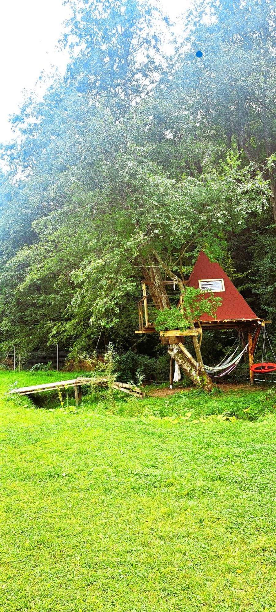 Forest Glamping Μπρασόβ Εξωτερικό φωτογραφία