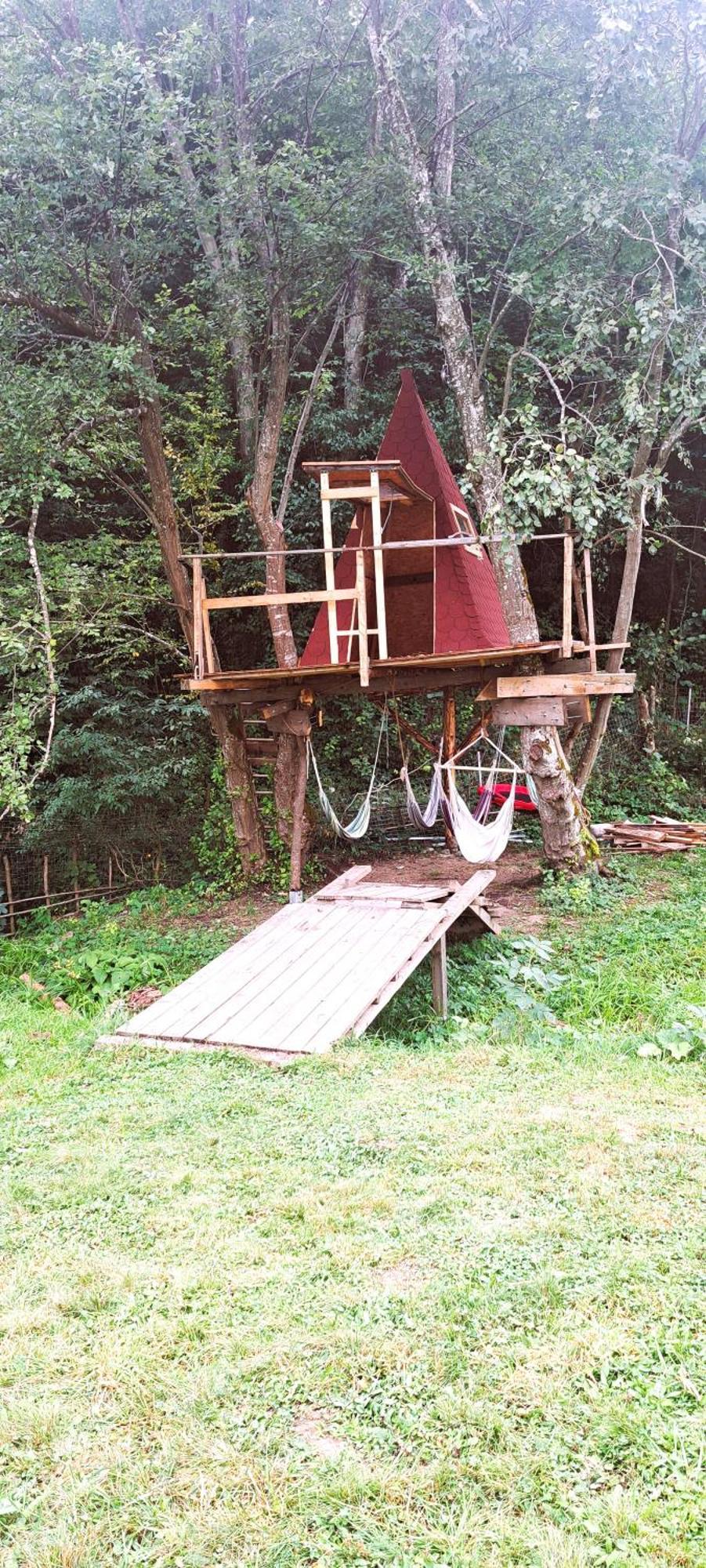 Forest Glamping Μπρασόβ Εξωτερικό φωτογραφία
